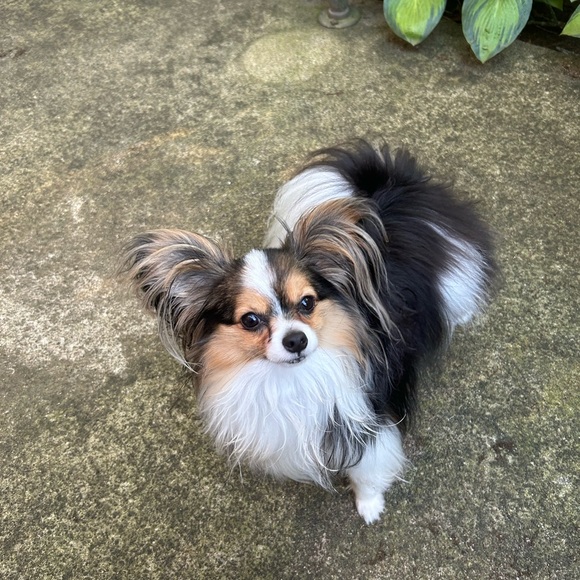 Meet your Posher, Nancy - Picture 10 of 10